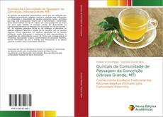 Bookcover of Quintais da Comunidade de Passagem da Conceição (Várzea Grande, MT)