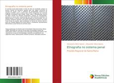 Bookcover of Etnografia no sistema penal