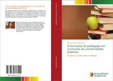 A formação do pedagogo em currículos de universidades públicas kitap kapağı