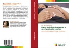 Capa do livro de Maternidade adolescente e (des)proteção pública 