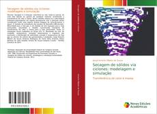 Capa do livro de Secagem de sólidos via ciclones: modelagem e simulação 