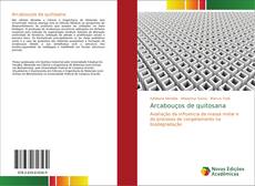 Bookcover of Arcabouços de quitosana