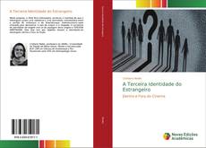 Capa do livro de A Terceira Identidade do Estrangeiro 