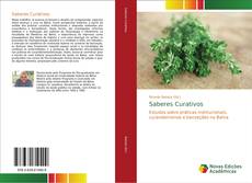 Bookcover of Saberes Curativos