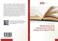 Portada del libro de Modification de la microstructure dans un alliage Al-Cu-Mg par ECAE