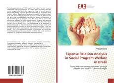 Capa do livro de Expense Relation Analysis in Social Program Welfare in Brazil 