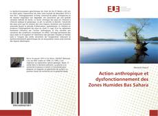 Copertina di Action anthropique et dysfonctionnement des Zones Humides Bas Sahara