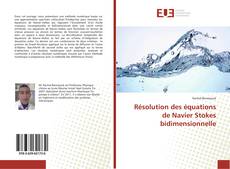 Capa do livro de Résolution des équations de Navier Stokes bidimensionnelle 