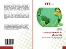 Copertina di Biosolubilisation du phosphate