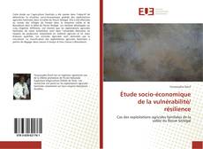 Capa do livro de Étude socio-économique de la vulnérabilité/ résilience 