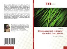 Buchcover von Développement et érosion des sols à Gros Morne