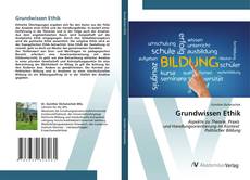 Bookcover of Grundwissen Ethik
