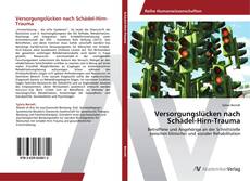Versorgungslücken nach Schädel-Hirn-Trauma kitap kapağı