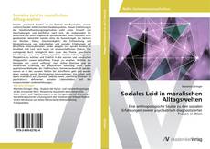 Soziales Leid in moralischen Alltagswelten的封面