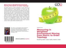 Portada del libro de Measuring in Weighted Environment Moving from Metric to Order Topology