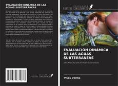 Buchcover von EVALUACIÓN DINÁMICA DE LAS AGUAS SUBTERRÁNEAS