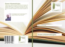 Capa do livro de Drame à Karamodougou 