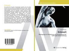 Entzweit kitap kapağı