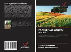Borítókép a  PODMIEJSKIE GRUNTY ROLNE - hoz