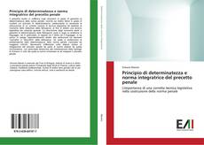 Buchcover von Principio di determinatezza e norma integratrice del precetto penale