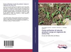 Обложка Como enfrentar el reto de producir sorgo en regiones de clima frío