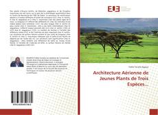Bookcover of Architecture Aérienne de Jeunes Plants de Trois Espèces...