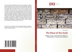 Buchcover von The Place of the Gods