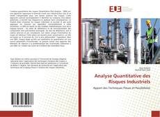 Capa do livro de Analyse Quantitative des Risques Industriels 