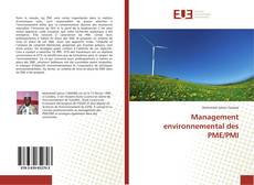 Management environnemental des PME/PMI kitap kapağı