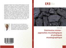 Copertina di Patrimoine minier : approches muséologiques et pratiques muséographique