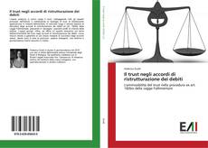 Bookcover of Il trust negli accordi di ristrutturazione dei debiti
