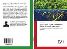 Buchcover von Valutazione su base eMergetica dei servizi degli ecosistemi