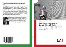 Capa do livro de L'efficienza produttiva in Laviosa Minerals S.p.A. 