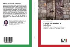 Bookcover of Il Borgo abbandonato di Balestrino