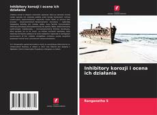Copertina di Inhibitory korozji i ocena ich działania