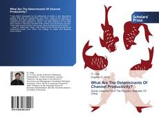 Capa do livro de What Are The Determinants Of Channel Productivity? 