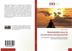 Capa do livro de Wamkelekile dans le microcosme de Kayamandi 