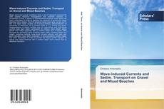 Bookcover of Wave-induced Currents and Sedim. Transport on Gravel and Mixed Beaches