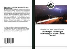 Buchcover von Elektrospin Yöntemiyle Termoelektrik Nano Yapılar Üretimi