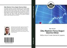 Bookcover of Ülke Riskinin Firma Değeri Üzerine Etkisi