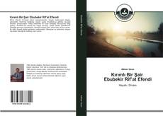 Capa do livro de Kırımlı Bir Şair Ebubekir Rif’at Efendi 