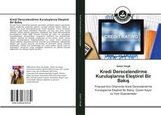 Buchcover von Kredi Derecelendirme Kuruluşlarına Eleştirel Bir Bakış