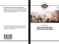 Capa do livro de Weyl Geometrisine Panoramik Bir Bakış 
