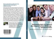 Capa do livro de Netzwerkarbeit im Bereich des migrantischen Bildungs-u. Arbeitsmarktes 