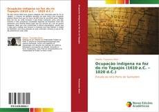 Buchcover von Ocupação indígena na foz do rio Tapajós (1610 a.C. – 1020 d.C.)