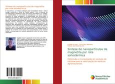 Couverture de Síntese de nanopartículas de magnetita por rota solvotérmica
