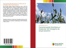 Portada del libro de Caracterização fenotípica e molecular de linhagens de sorgo sacarino