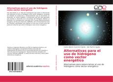 Alternativas para el uso de hidrógeno como vector energético的封面