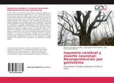 Isquemia cerebral y muerte neuronal: Neuroprotección por genisteina kitap kapağı