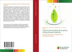 Buchcover von Cultura de tecidos de Arachis villosulicarpa Hoehne